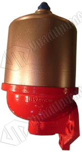 000045248